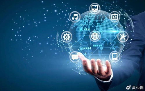 踏浪數字化浪潮，銀聯商務如何成為企業管理咨詢的“多面手”？